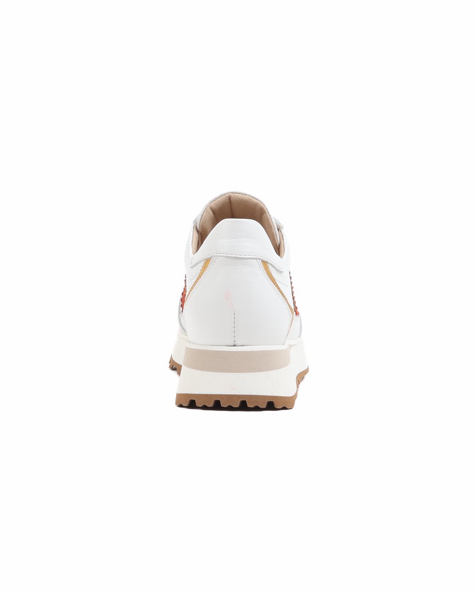 FOOTNOTES witmulti