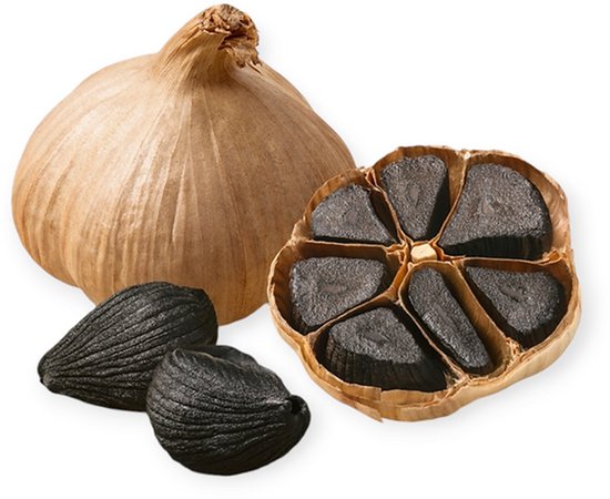 Zwarte knoflook FERMenter- black garlic machine - FERMentatiemachine - Blackening chamber - Fermentatie box - fermentatiekast - inhoud 5L — afbeelding 2