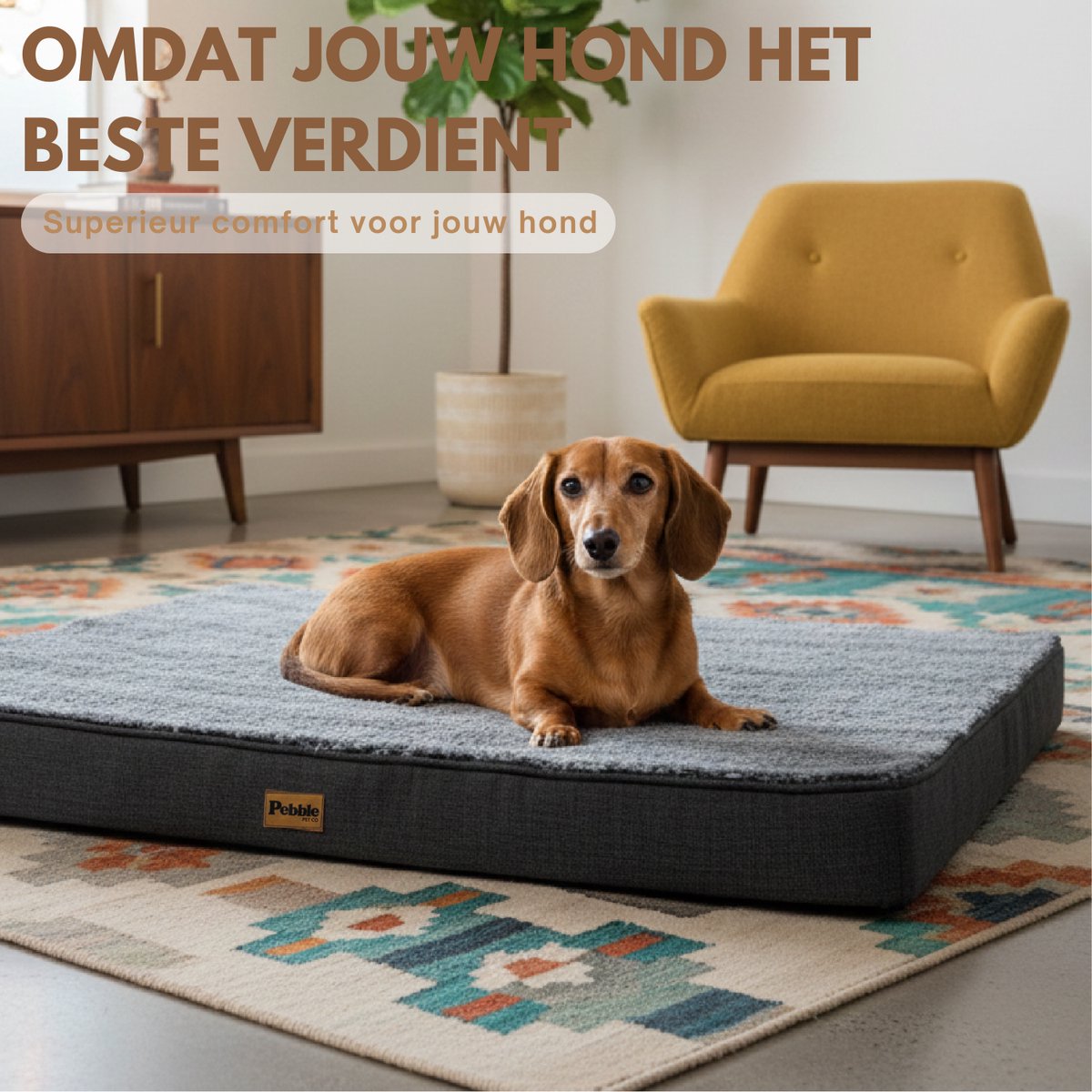 Pebble Orthopedisch Hondenkussen 75x50 cm - Hondenmand & Benchkussen - Dierenkussen - Voor Kleine tot Middelgrote Honden - Hondenbed – foto 7