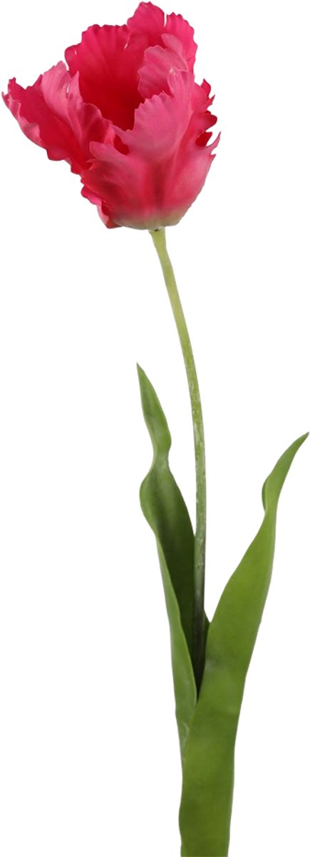 Viv! Home Luxuries Tulp Papegaai - zijden bloem - roze fuchsia - 69cm