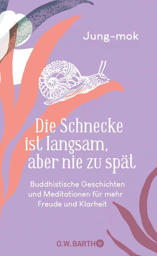 Die Schnecke ist langsam, aber nie zu spät - cover
