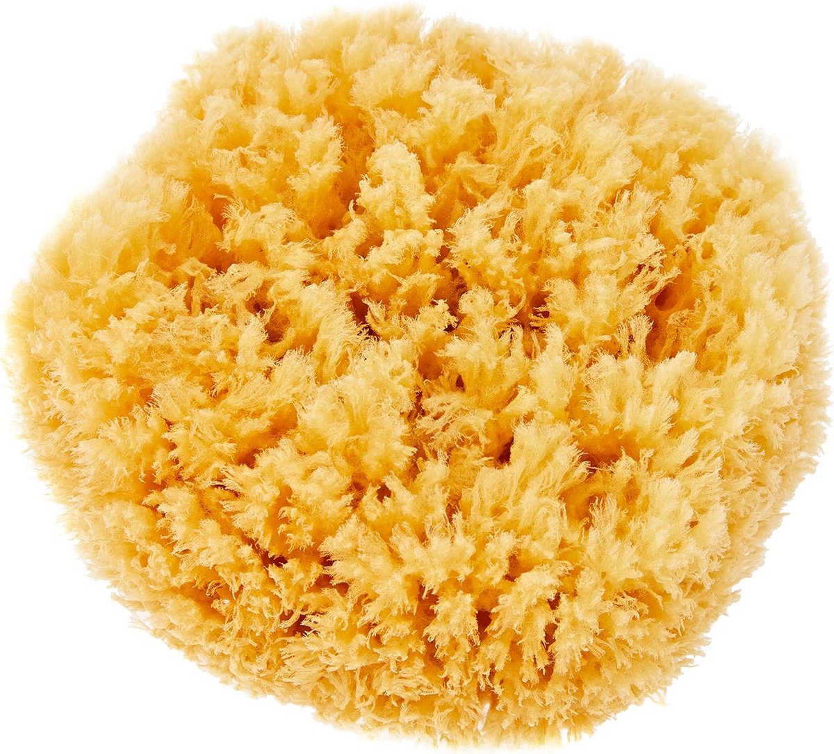 Natuurlijke Zeespons voor Lichaam en Gezicht, Originele Zeedonispons, 18 cm