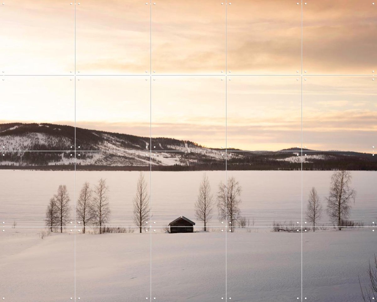 IXXI Frozen World, Claire Droppert - 100 x 80 cm - Gratis ophangtool - Grote wanddecoratie en posters - Realisme, Minimalisme, Naturalisme