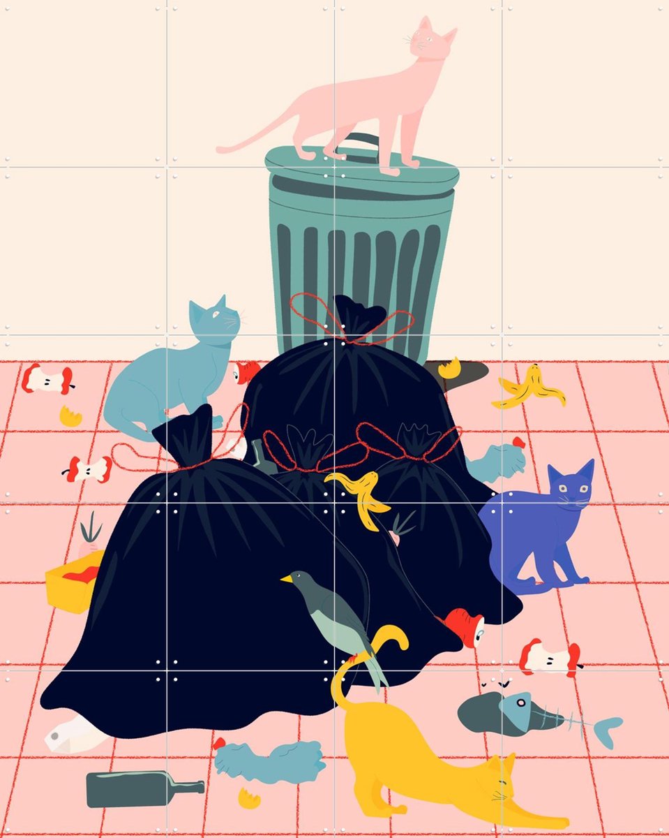 IXXI Cats, Jota de Jai & Various - 80 x 100 cm - Gratis ophangtool - Grote wanddecoratie en posters - Illustraties, Kleurrijk, Kinderkamer, Kinderen