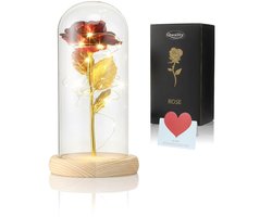 Luxe Roos in Glas met LED met Geschenk Kaartje – Gouden Roos in Glazen Stolp - Valentijns Cadeau - Valentijn - Moederdag - Bekend van Beauty and the Beast - Cadeau voor vriendin moeder haar - Lichte Voet - Qwality