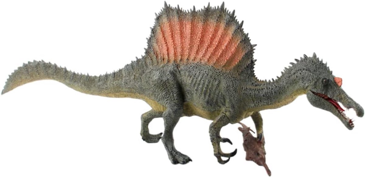 Levensecht Spinosaurus Dinosaurus Model voor Decoratie