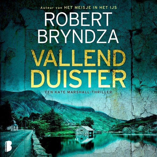 Vallend duister - cover