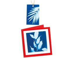 Sunprint Papier - Zonafdrukken Papier - Kinderen Knutselen - Maak Unieke Afbeeldingen - 12 Vel - Assorti