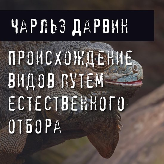  - cover