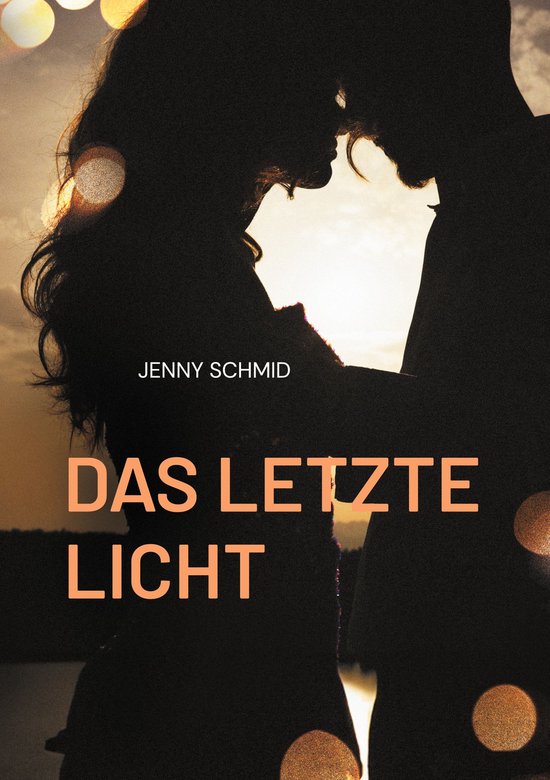 Das letzte Licht - cover