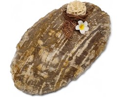 Versteende Houten Schaal - Decoratieve Natuursteen - Sleutels Sieraden - Uniek Gepolijst Unicaat - ca 33 cm - Naturel
