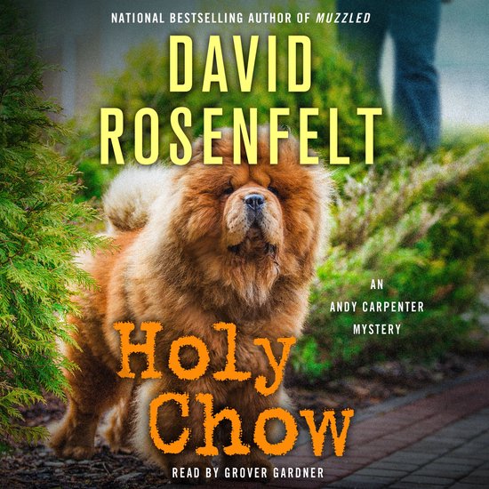 Holy Chow - cover