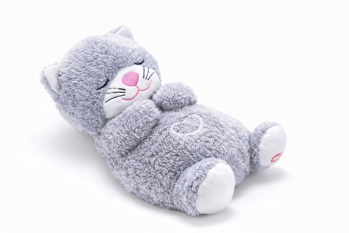 Kattenbed | SNELLE EN GRATIS LEVERING