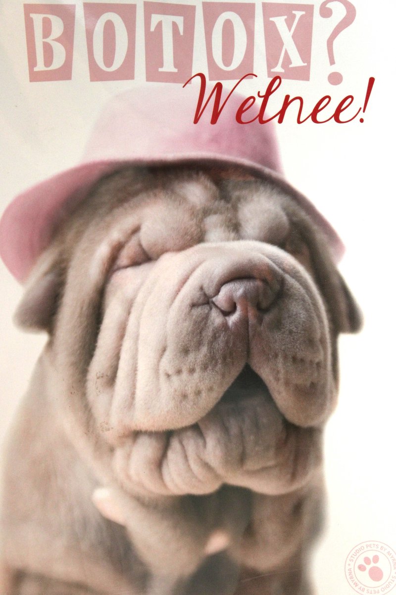 Luxe Wenskaart Verjaardag - Hartelijk Gefeliciteerd - Botox Welnee - By Myrna - Hond Puppy - 14,5x21cm - Dubbele Kaart - Met Envelop - Luxe Kaart - Greeting Card - 1 Stuks - In Folie Verpakt - Birthday - Geburtstag - Anniversaire - Gratis Verzonden
