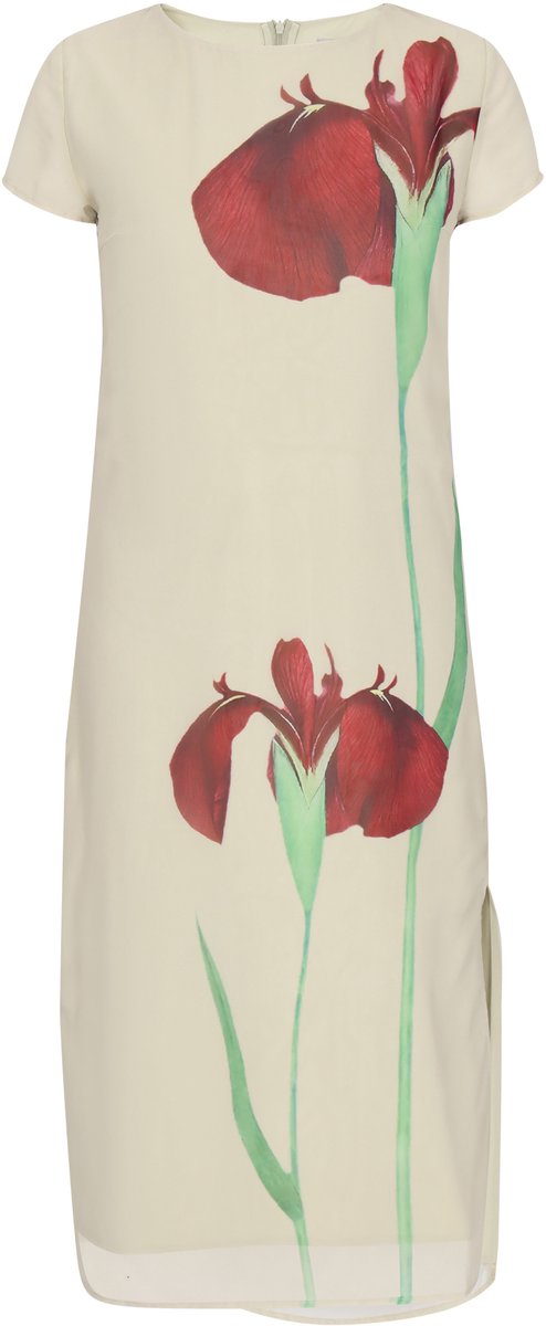 usha Dress