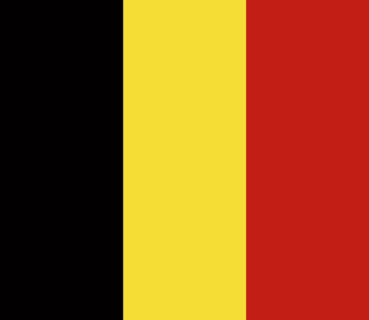 Belgische vlag - 20x30cm