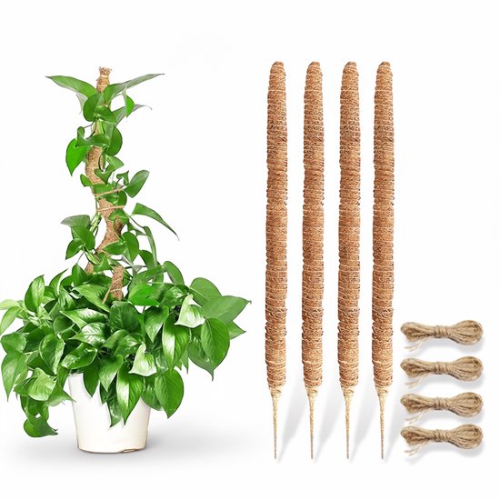 JustValue Mosstok voor Planten - 4x50cm - Plantensteun - Plantenstok - Mosstokken Kamerplanten - Incl. 4 Juten Touw - Voor Monstera - Pothos - Klimplanten