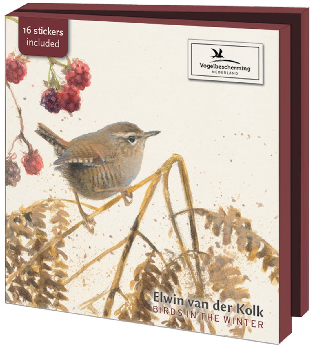 Wenskaartenset Vogelbescherming - vogels in de winter