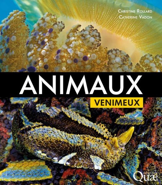 Beaux livres - Animaux venimeux - cover
