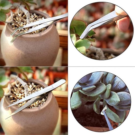 Mini Tuinset voor Bonsai en Succulenten - 13-delige Transplantatie Gereedschaps Set van MINI — afbeelding 2