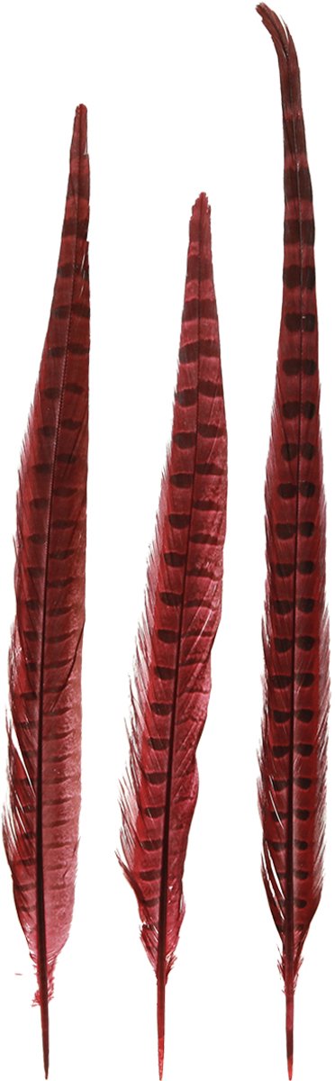 Fazantenveren Rood Echte Veren Decoratie Wijnrood 35-45cm 9 st, 9 Stüc
