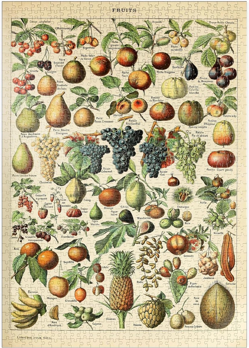 1000 Stukjes Puzzel Fruit Vintage Kunst Poster - Adolphe Millot
