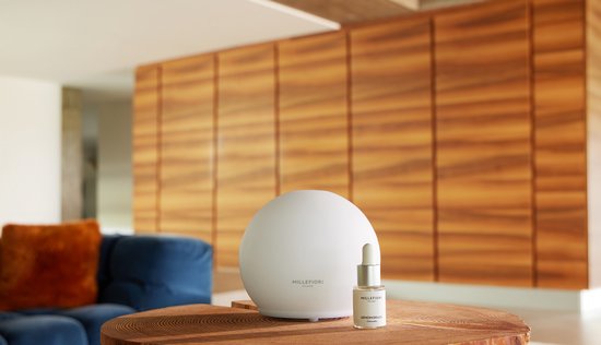 Miscuglio Di Sementi Mellifere Da Fioritura Per Apicoltura « Ughetto