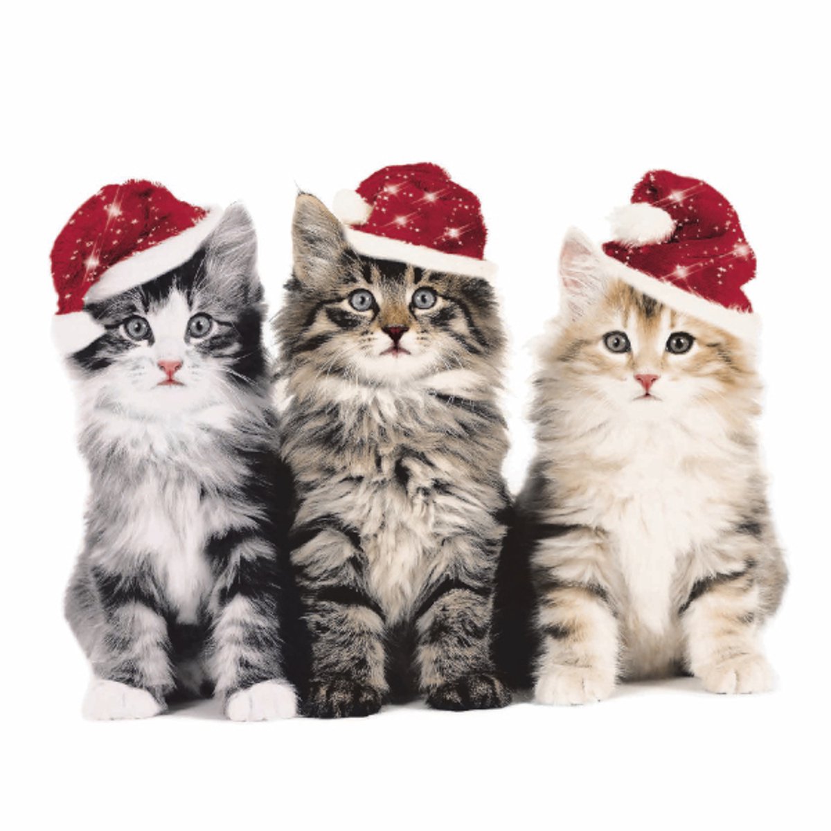 P+D Lunch servetten - Xmas cats