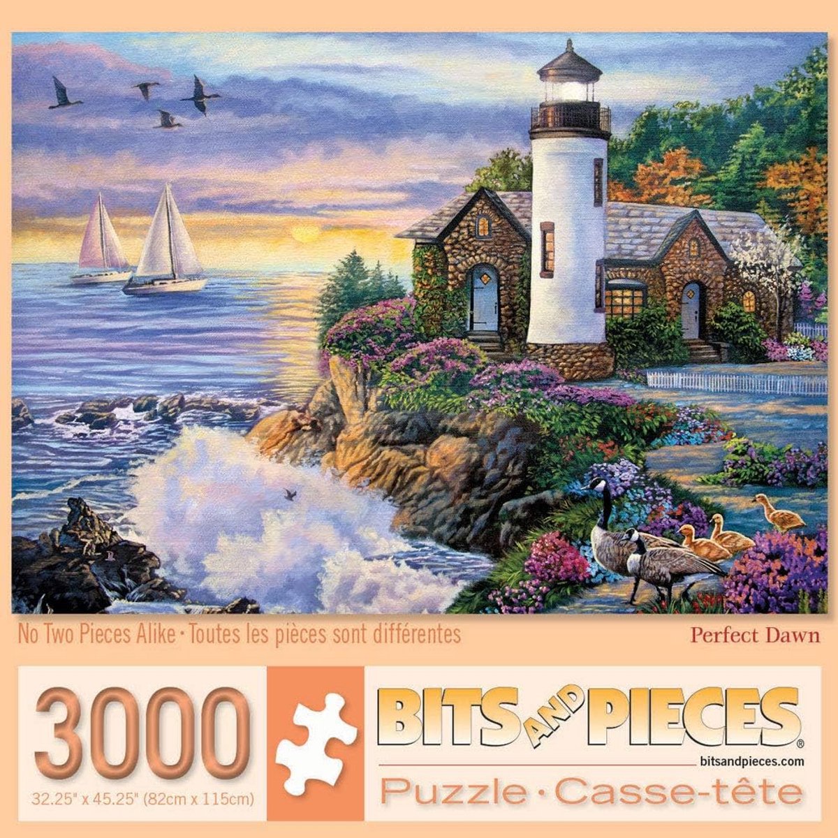 3000 Delige Puzzel voor Volwassenen - Groot Formaat 81x114 cm - Adembenemend Landschap Kunst