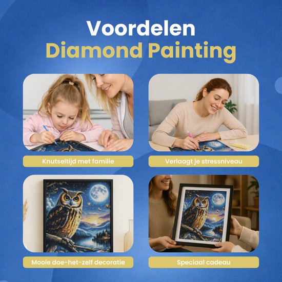 Rubye® Broderie diamant pour adultes et enfants – Kit complet – Hibou de nuit – 30x40cm