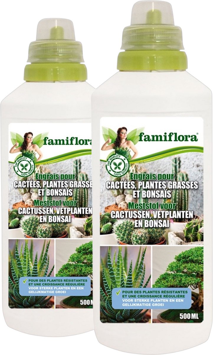 Famiflora vloeibare meststof voor cactussen, vetplanten en bonsaï - 1 liter (2 x 500ML) - Sterke planten die minder vatbaar zijn voor stress en ziektes