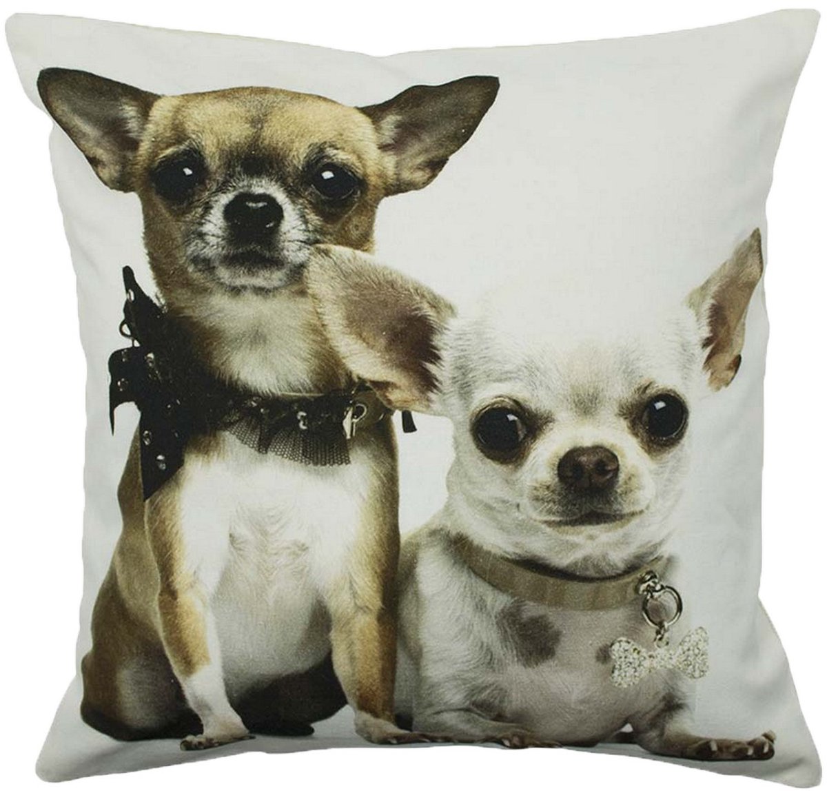 canvas kussen 2 chihuahuas 50x50cm*