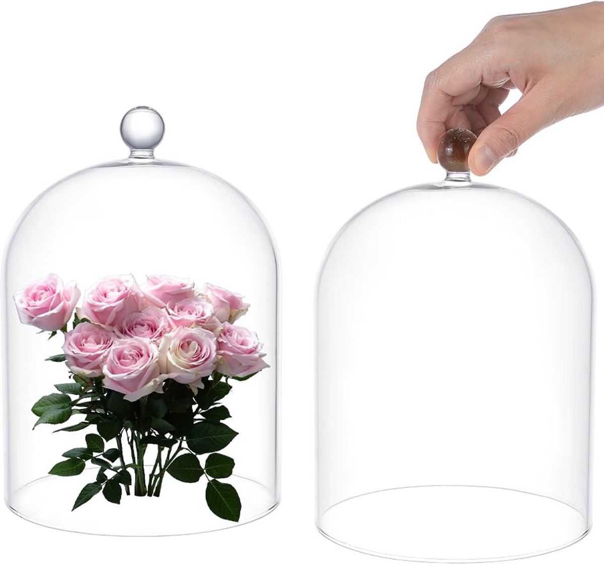 Glazen Cloche - Decoratieve Glazen Koepel - 20x15 cm