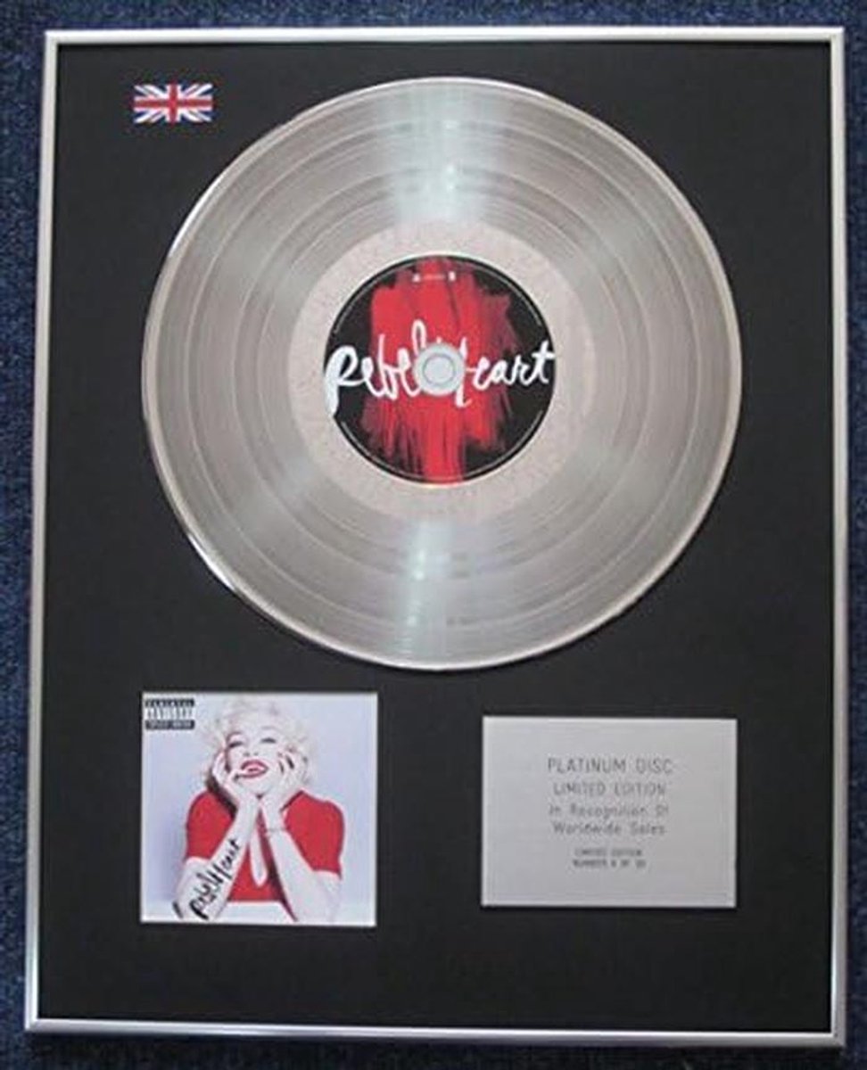 Limited Edition Platinum Album Plaat met CD - Wanddecoratie