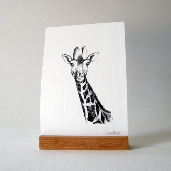Affiche Noir et Blanc A3 Girafe – Affiche Animaux Chambre Bébé – 29,7x42 cm – Cadeau de Naissance – Papier Mat 300g – Jolies Affiches