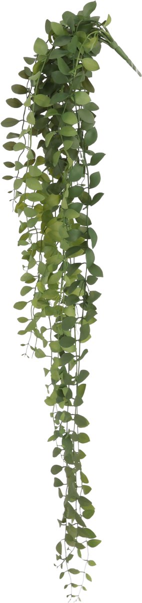 Rotundifolia Kunst Hangvaren 110CM
