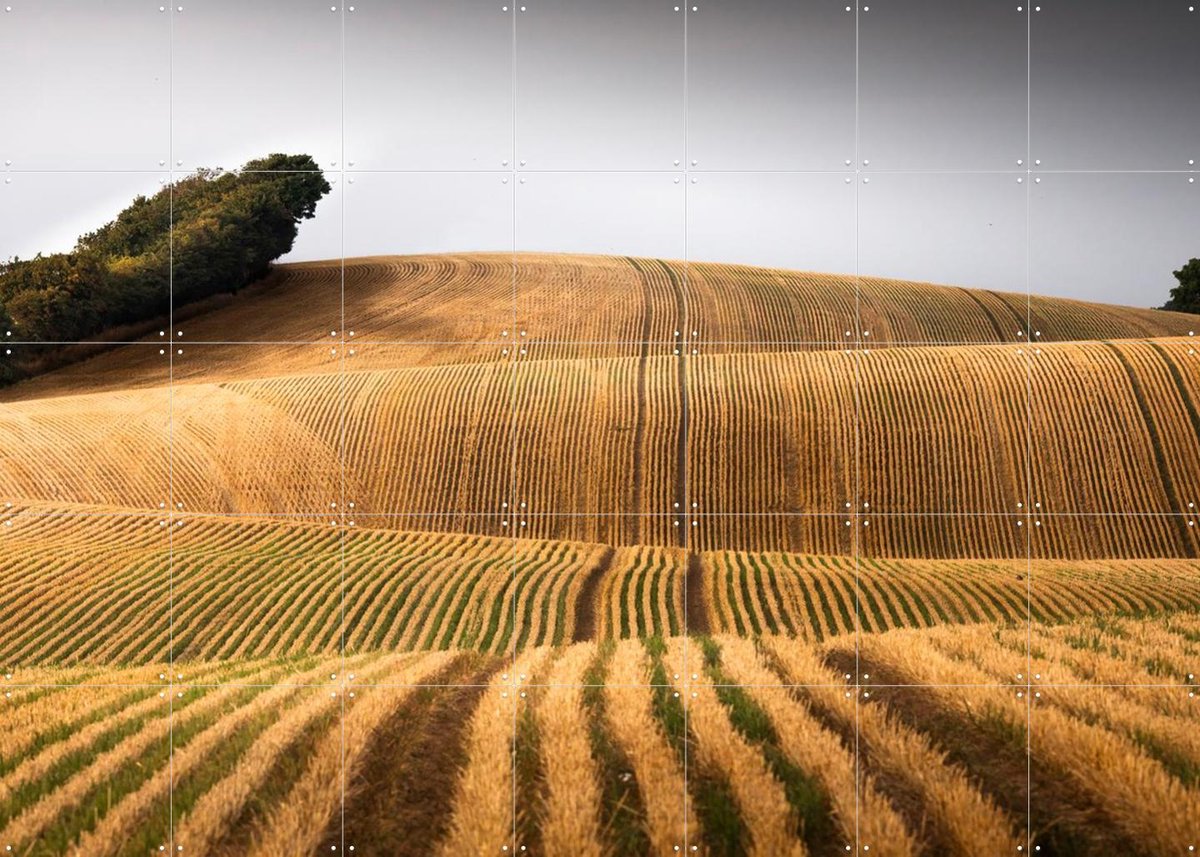 IXXI Danish Carpet, Claire Droppert - 140 x 100 cm - Gratis ophangtool - Grote wanddecoratie en posters - Naturalisme, Fotografie, Gang, Eetkamer