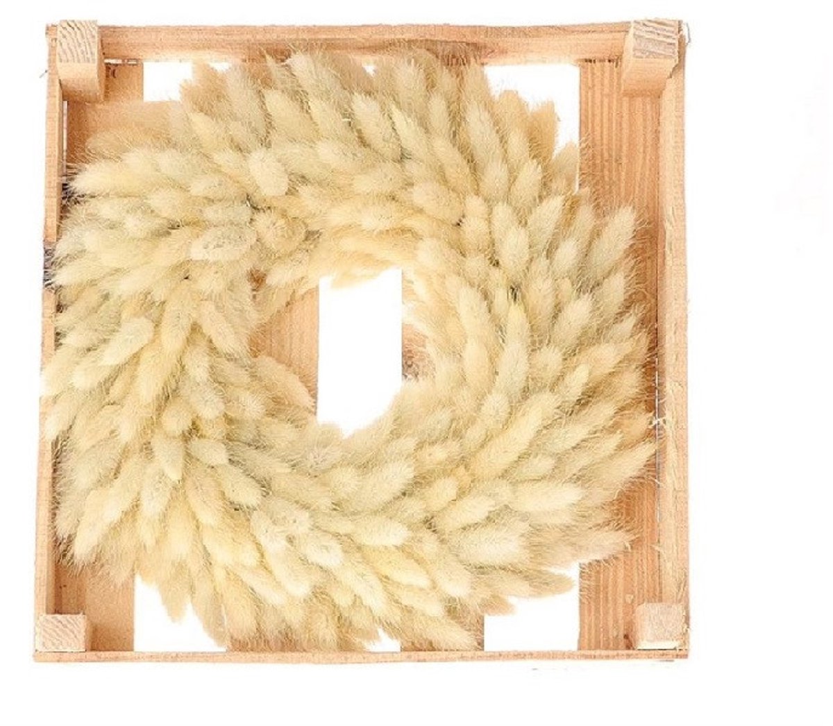 Droogbloemen Lagurus Krans - d30cm - Creme - HBX - Woondecoratie