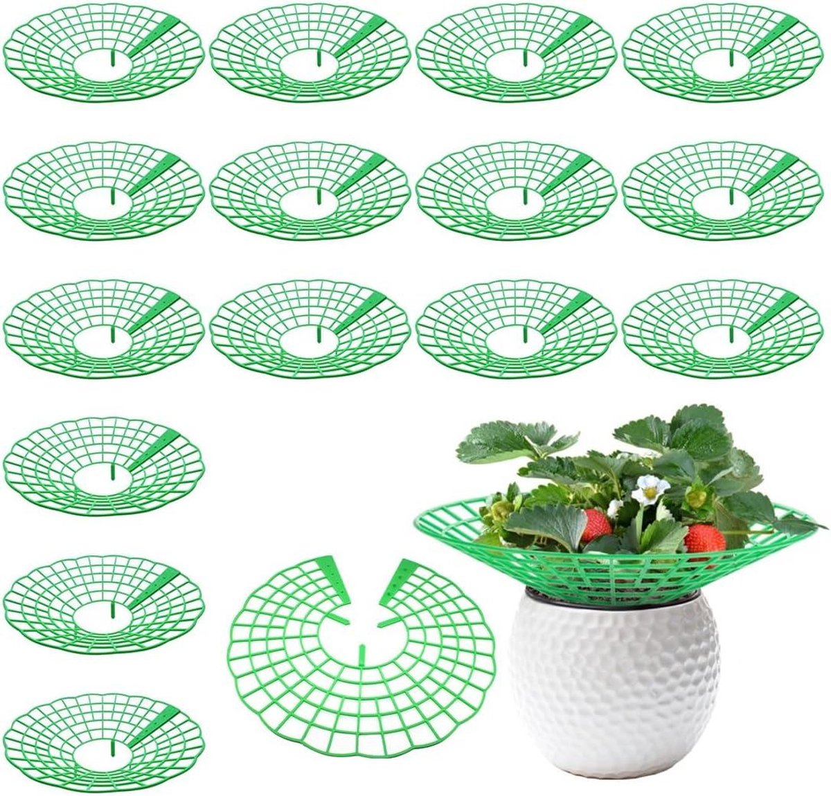 Aardbeiensteun - Set van 15 stuks voor gezonde aardbeienplanten, beschermt tegen slakken en rot, inclusief verwijderbare aardbeientoren – Tuinaccessoire voor optimale groei.