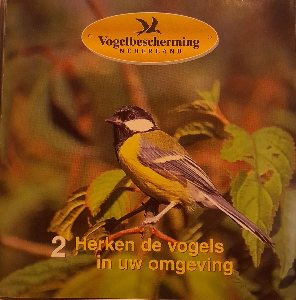 Herken de vogels in uw omgeving - Meer dan 30 bekende vogelgeluiden