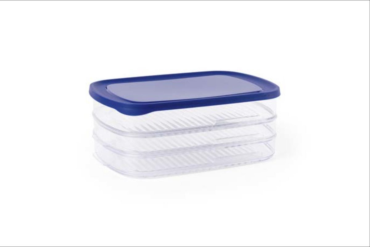 Day To Day - Vleeswarendozen - 3 lagen Stapelbare Vershoudbakjes - BPA-vrije Bewaardozen - Compacte bewaarbakjes - Blauw