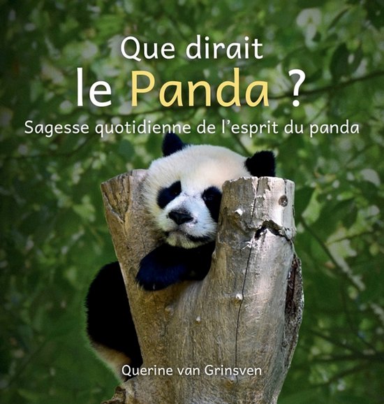 Que Dirait ... ?- Que dirait le Panda ? - cover