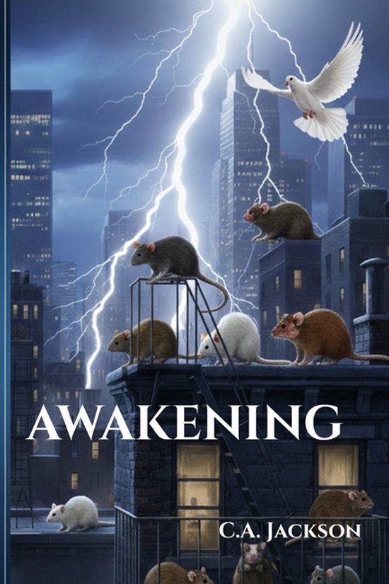 Awakening - cover