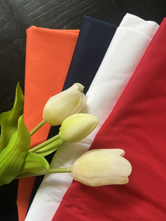 Koningsdagslinger - Strookjes Slinger - 5m - Koningsdag - Rood - Wit - Blauw -Oranje