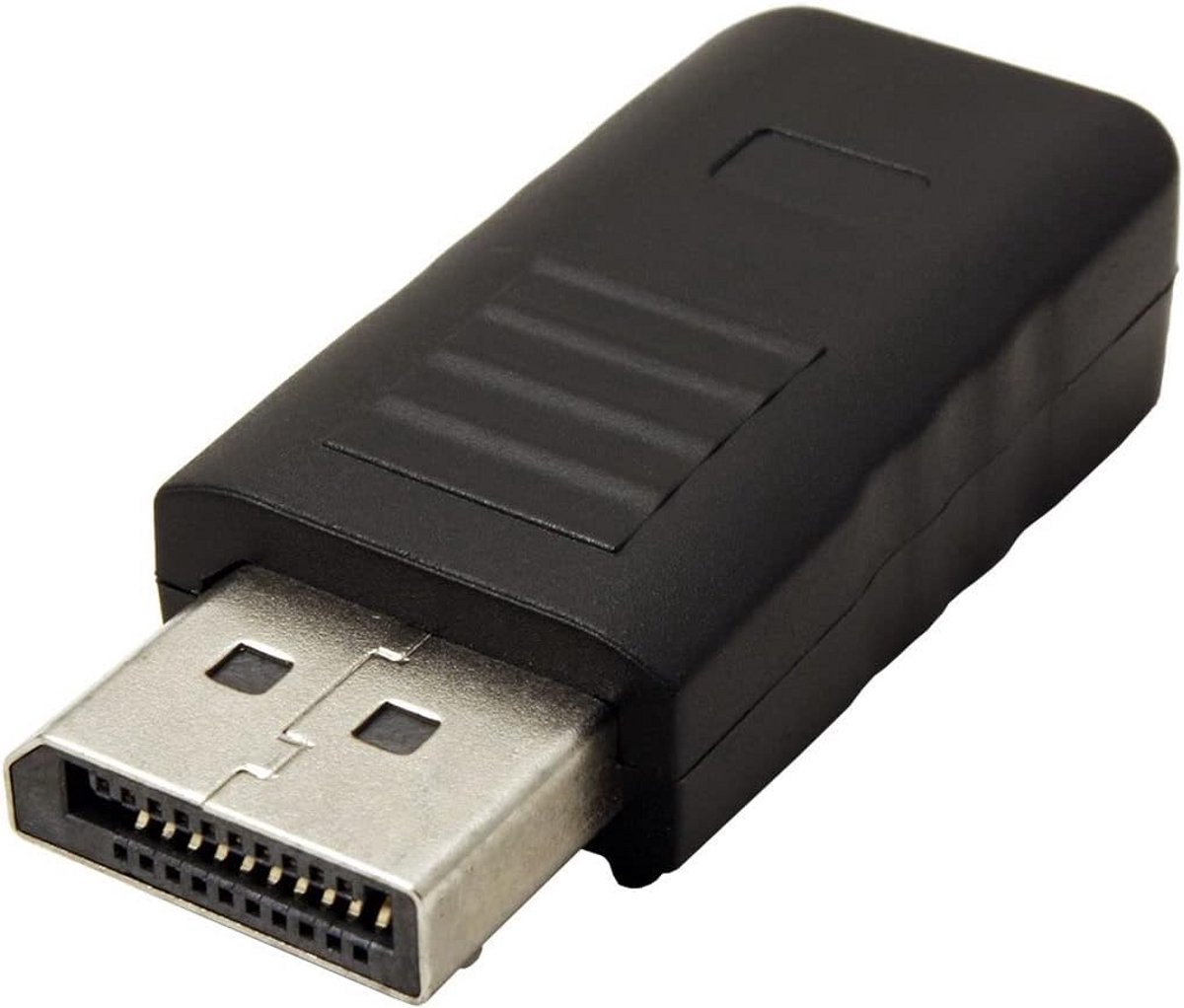 Mini DisplayPort naar DisplayPort Adapter met Vergulde Connectoren