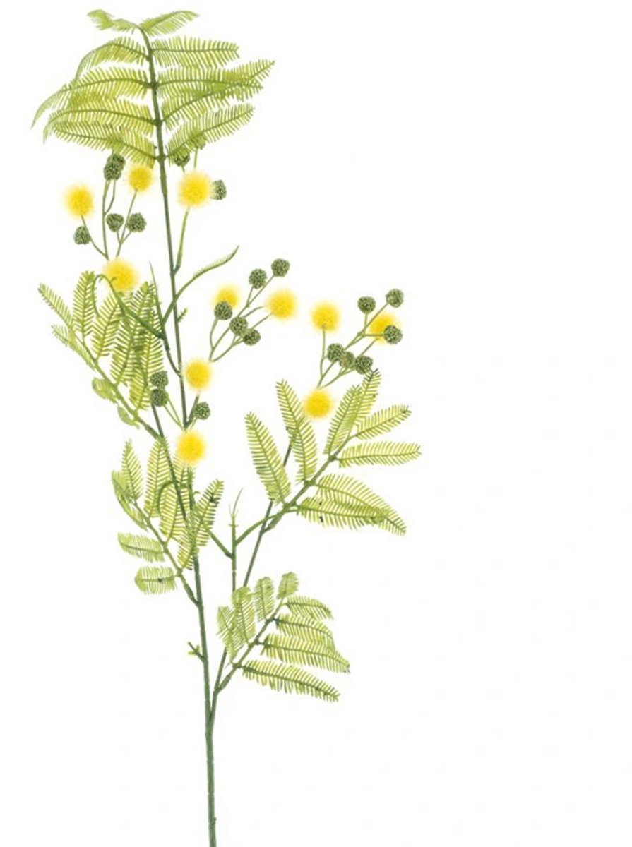 Erutan avon Mimosa spray Alice yellow 91 cm onbekend