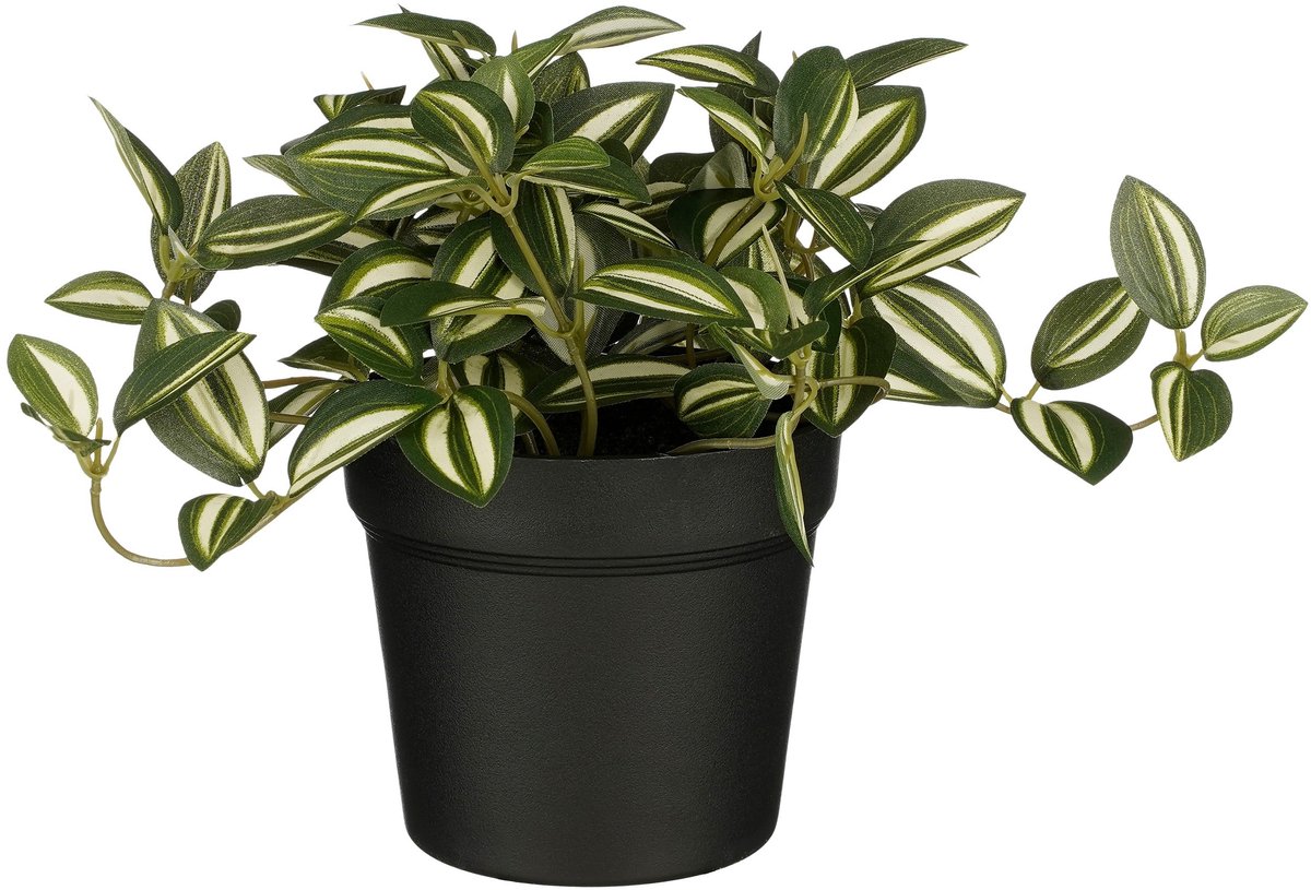 Mica Decorations Kunstplant mica tradescantia in pot groen | 6 stuks
