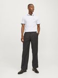 Man staat, draagt witte poloshirt met zwarte kraag en biezen, en donkergrijze pantalon.