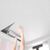 Art3d 12 plafondtegels 60 x 120 cm PVC decoratieve plafondpanelen kelder keuken badkamer hoes 8,8 m² glad wit Art3d 12 plafondtegels 60 x 120 cm PVC decoratieve plafondpanelen kelder keuken badkamer hoes 8,8 m² glad wit
