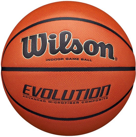 Wilson Evolution Game Indoor - size 6